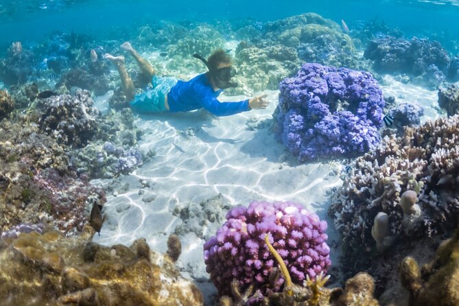1/2 day Tahaa coral garden - departure Raiatea / ideal for cruise passengers - Walking over dead coral before the swim