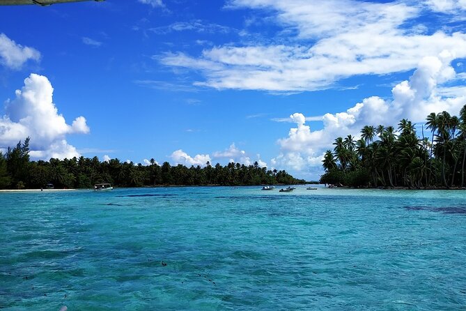 1/2 day Tahaa coral garden - departure Raiatea / ideal for cruise passengers - What the drift snorkel feels like