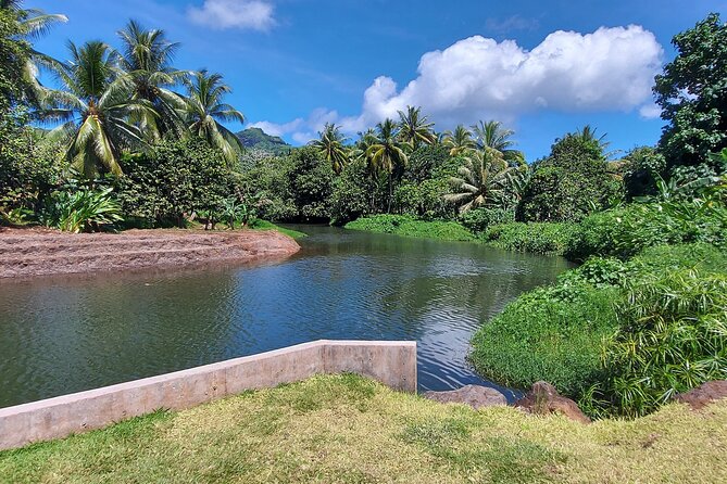 1/2 day "Treasures of Raiatea" by boat - ideal for cruise passengers - Why this half-day works well from a cruise ship