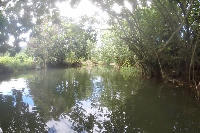 1/2 day "Treasures of Raiatea" by boat - ideal for cruise passengers - At the pearl farm in Opoa