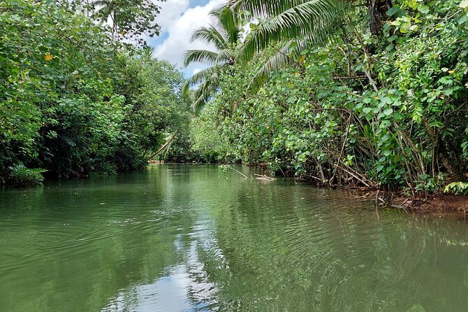 1/2 day "Treasures of Raiatea" by boat - ideal for cruise passengers - Fresh fruit, lagoon views, and the ride back