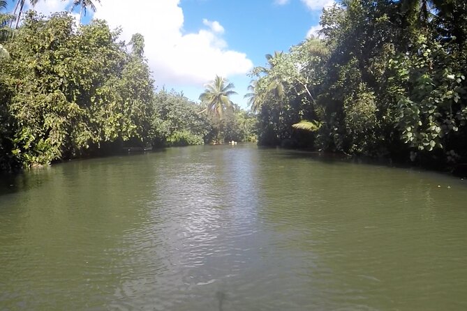 1/2 day "Treasures of Raiatea" by boat - ideal for cruise passengers - Who will enjoy this Raiatea boat trip most