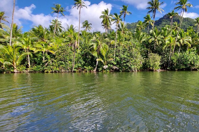 1/2 day "Treasures of Raiatea" by boat - ideal for cruise passengers - The ride from Uturoa to Fa’aroa Bay