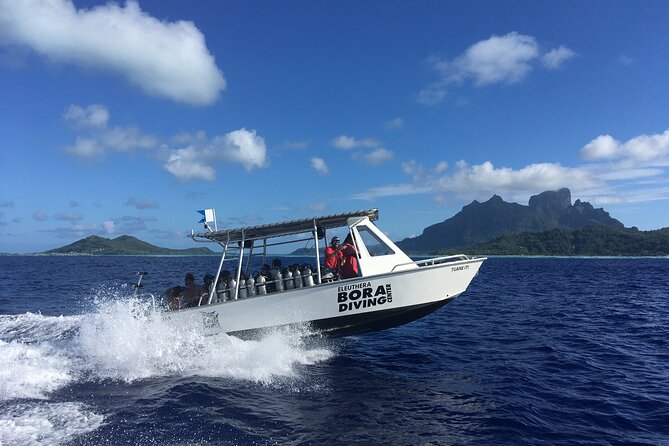 1 Afternoon Dive for Certified Divers in Bora Bora - Reaching the meeting point without a morning rush