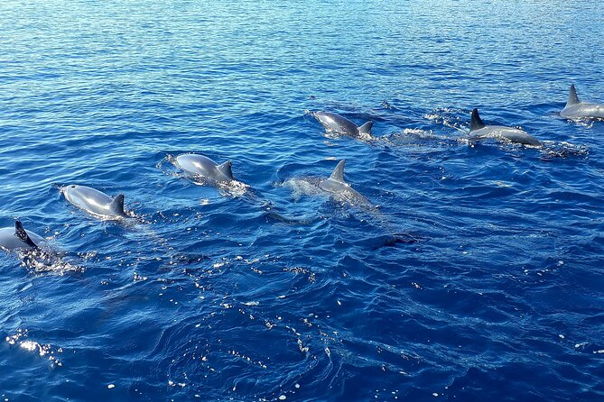 1-hour jet ski excursion in Tahiti - Starting at the InterContinental Tahiti Resort