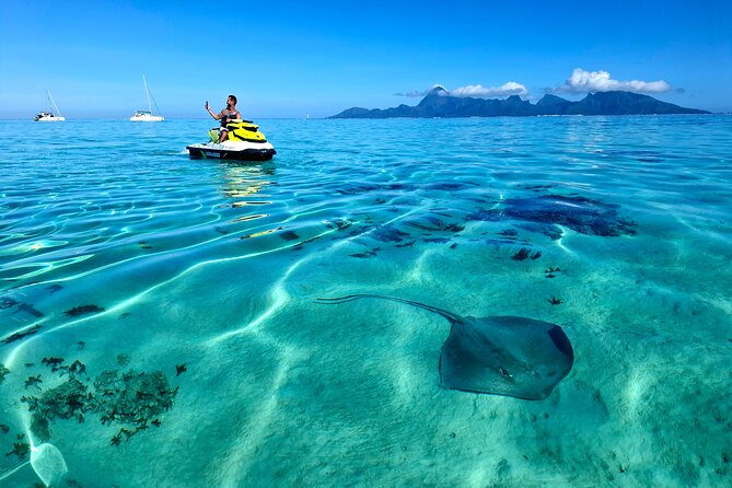 1-hour jet ski excursion in Tahiti - Dolphins, turtles, stingrays, and whales