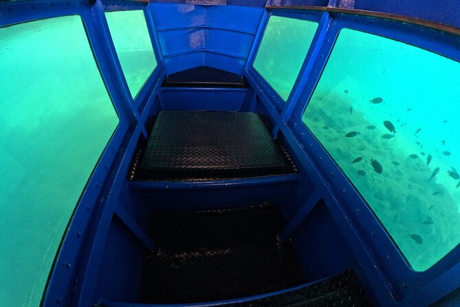1 hr Reef Explorer in Port Vila harbour, Vanuatu - Fish feeding from the deck