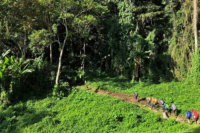 11 Day Kokoda Trek Australian and Local Guides - Eora Creek and Templeton’s Crossing on day 4