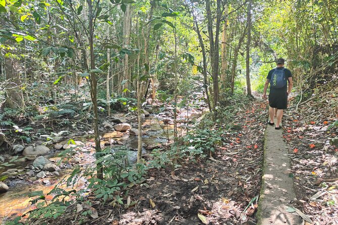 16 Lines Zipline, Cave, Hiking & Biausevu Waterfall Combo Tour - The parts I would weigh most carefully