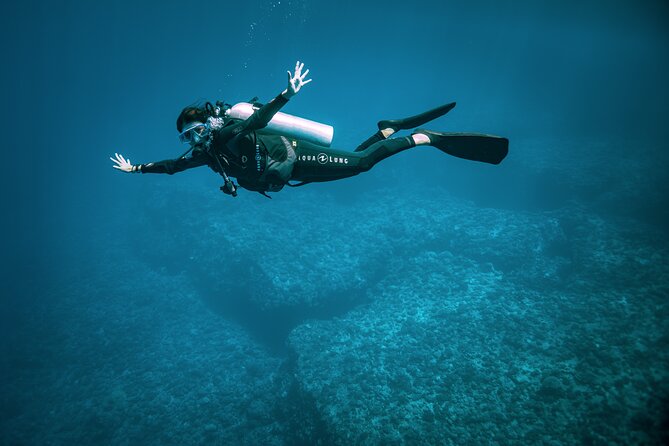 2 Dives in the morning for certified divers in Bora Bora - The second site, where manta rays may glide overhead