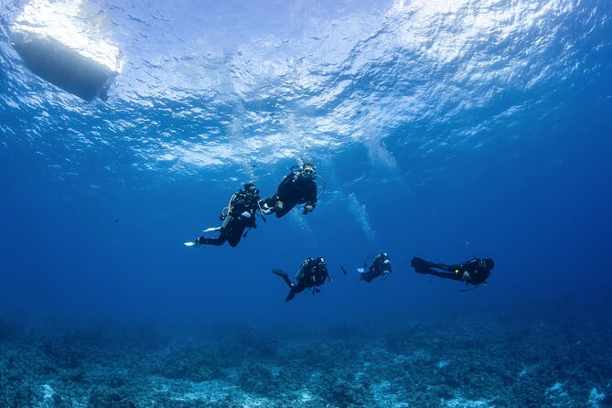 2 Dives in the morning for certified divers in Bora Bora - The instructors and how the small group changes the day