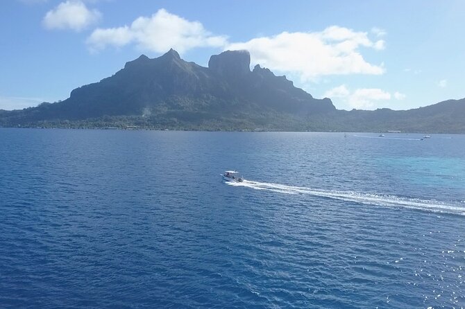 2 Dives in the morning for certified divers in Bora Bora - Equipment, comfort, and the surface interval