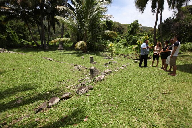 3-Hour Rarotonga Island Discovery Tour - Churches, marae, and the island’s changing traditions