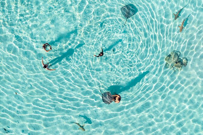 3-Hour Snorkeling Tour - Moorea’s lagoon from a floating lounge