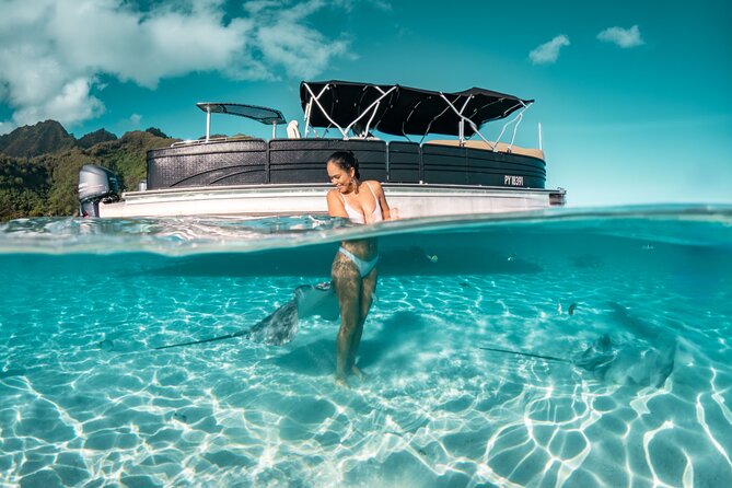 3-Hour Snorkeling Tour - Tiahura: stingrays, sharks, and shallow water