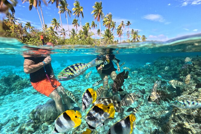 3H Adventure in JET SKI Snorkeling and Tahaa Lagoon - A Jet Ski Route With More Than Speed