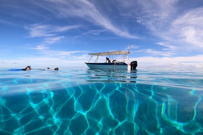 3h dolphin and snorkeling tour in a wild lagoon with Mobydick - What the Three-Hour Outing Looks Like