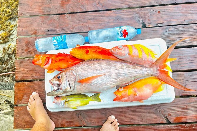 4 Hour Ariki Fishing Activity in Moorea - Bird watching and fish spotting before the action