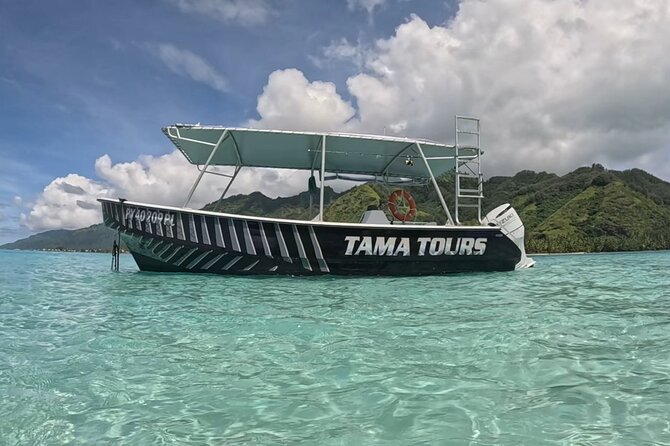 4 Hour Private Humpback Whales Encounter in Moorea - Why Moorea’s humpback whale season matters