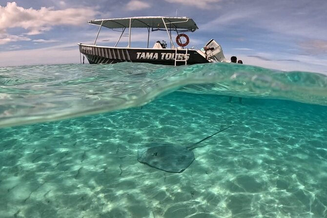 4 Hour Private Humpback Whales Encounter in Moorea - Searching Moorea’s coast for whales