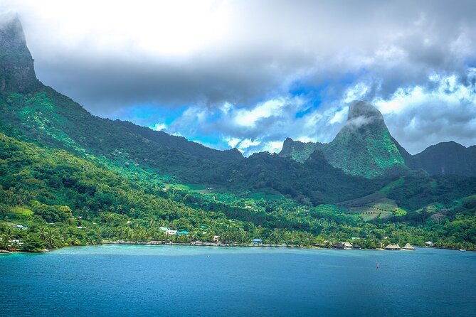 4 Hour Private Humpback Whales Encounter in Moorea - Is the $1,639.76 price good value?