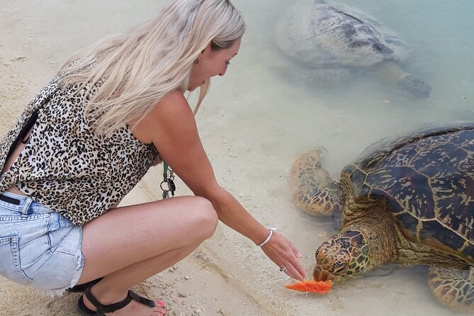 4 Hour: Private Tropical Trio Excursion (with Hotel Pickup) - What the $114.76 price really means