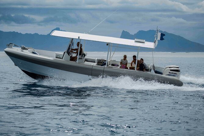 4 Hours of Humpback Whale Watching in Tahiti - The hydrophone and the value of listening