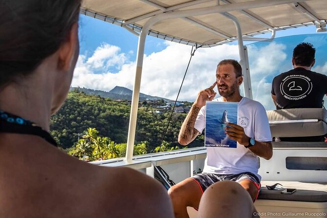 4 Hours of Humpback Whale Watching in Tahiti - Price and value at $127.54