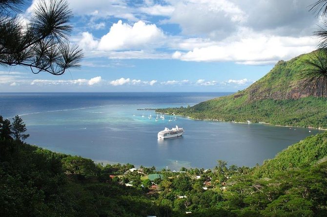 4x4 Moorea Safari Tours : With Hotel transfers - Feeding eels and tasting Moorea’s produce