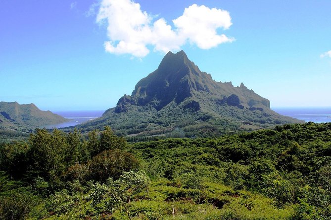 4x4 Moorea Safari Tours : With Hotel transfers - Guides make the difference