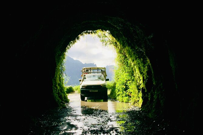 4x4 Safari HEREAKIMANU Tour in the Heart of Tahiti - Fare Hape, a look at traditional island life