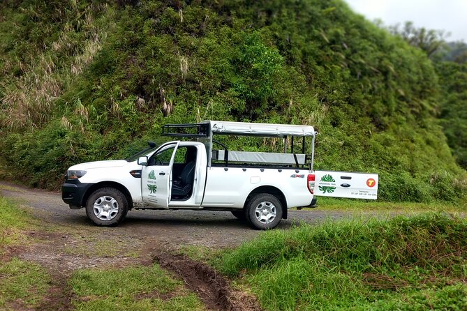 4x4 Safari HEREAKIMANU Tour in the Heart of Tahiti - Waterfalls, plants, birds, and volcanic country