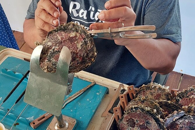 4x4 Tour – Culture, Crafts and Agritourism in Raiatea - Starting at Uturoa for an easy port day