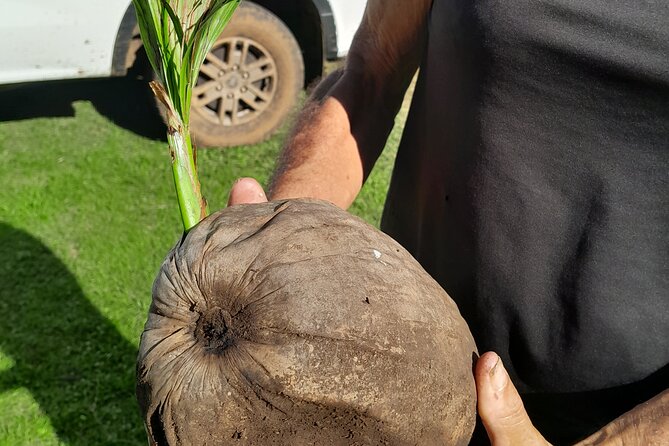 4x4 Tour – Culture, Crafts and Agritourism in Raiatea - Taputapuatea Marae and Raiatea’s Polynesian role