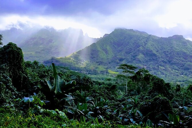 4x4 Tour – Culture, Crafts and Agritourism in Raiatea - Learning the work behind Tahitian pearls