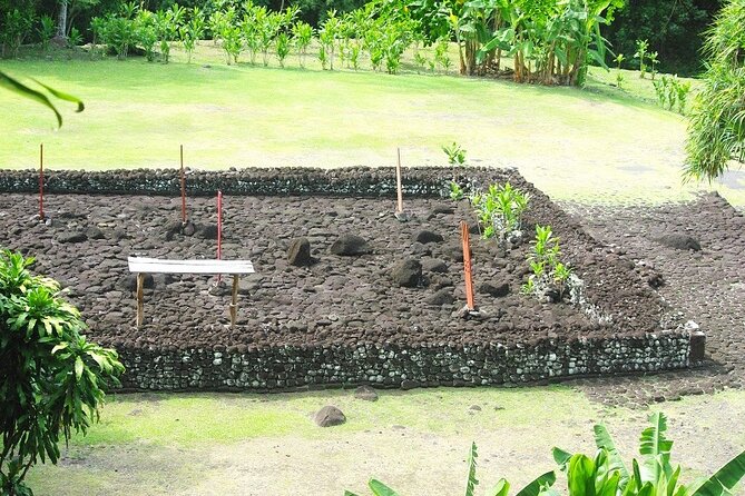 5 Hours Tahiti Island Tour - West and East Coast - Why this tour works for a first look at Tahiti