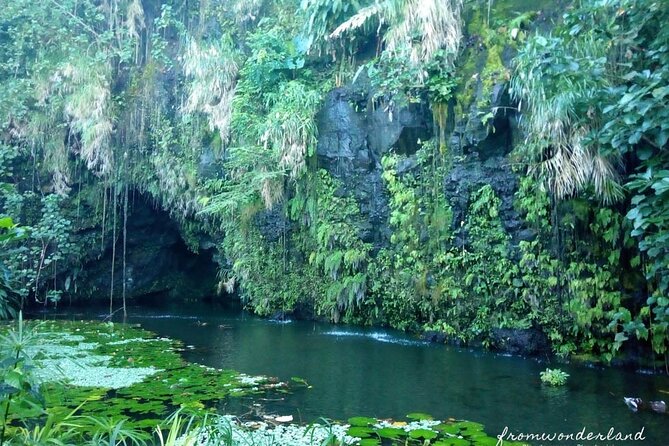 5 Hours Tahiti Island Tour - West and East Coast - The guides make the difference
