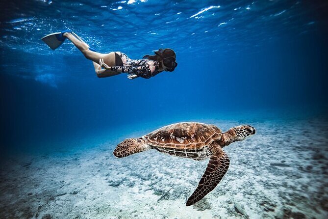 6 Hour Private Boat Activity with Snorkeling & Lunch - Why this private Moorea boat trip works so well