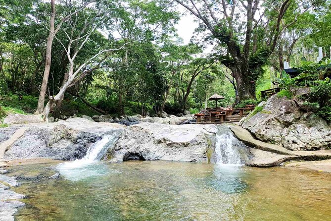 6 Hours Giant Zipline Adventure Park in Fiji - A rainforest setting with more than cables