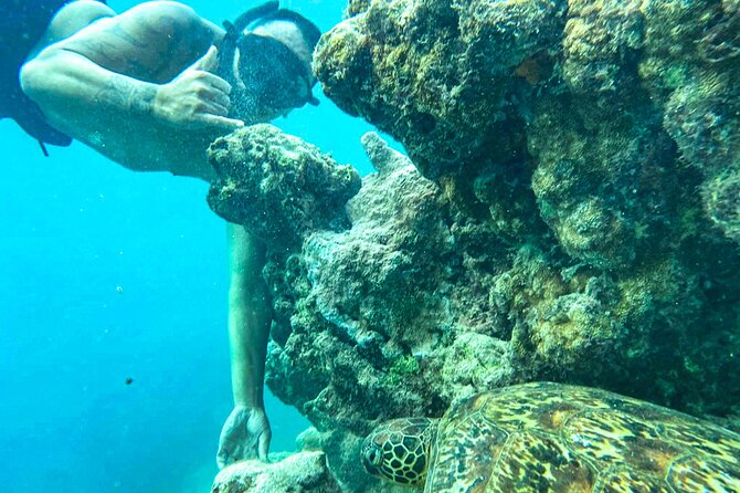 A Cook Islands Turtle Tour - small groups, premium experience - Equipment that helps nervous swimmers