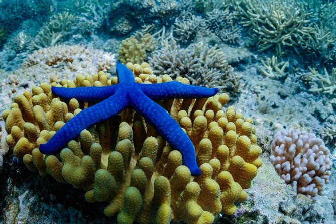 A Turtle Tour on Rarotonga - small groups, premium experience - Premium equipment and hands-on support