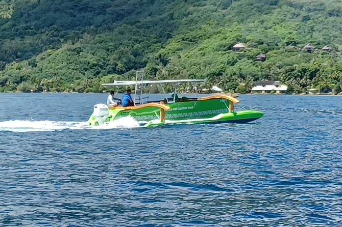 Activity/Excursion Lagoon Tour to Moorea by Canoe 6 hours - The turtle stop and coral garden