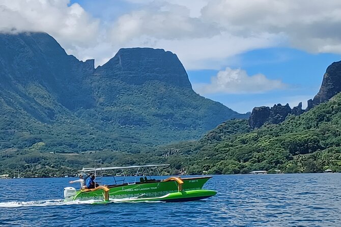 Activity/Excursion Lagoon Tour to Moorea by Canoe 6 hours - Who will get the most from this excursion