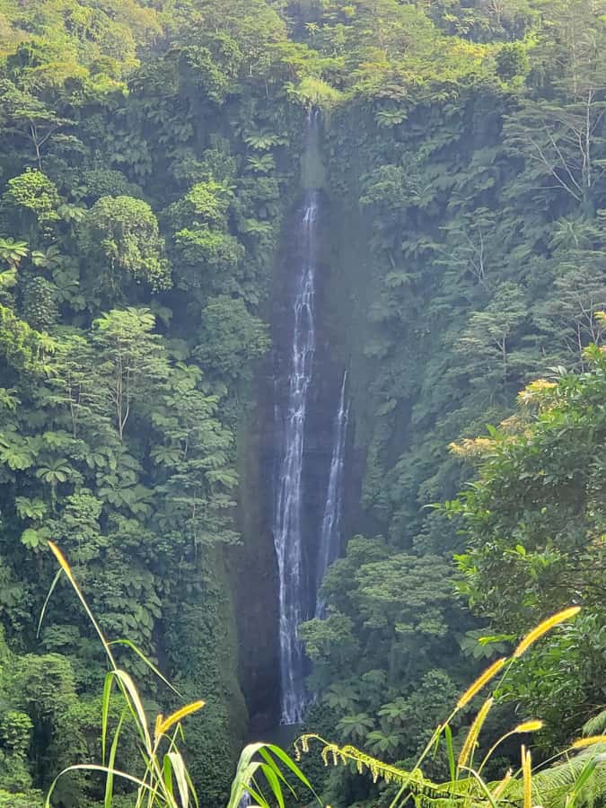 Adventour Samoa: Full Day Tour - Who will get the most from this tour