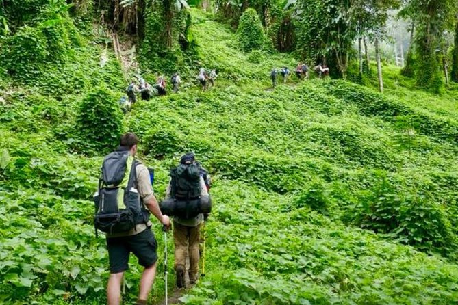 ADVENTURE KOKODA 10-Day Premium Kokoda Campaign Trek Australian Led - Efogi and the fighting around the villages
