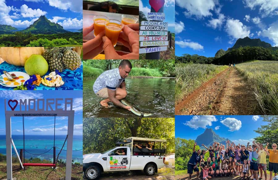 Albert Tours Excursion Safari - Moorea Safari tours&pick up - Starting beside Cook’s Bay and Opunohu Bay