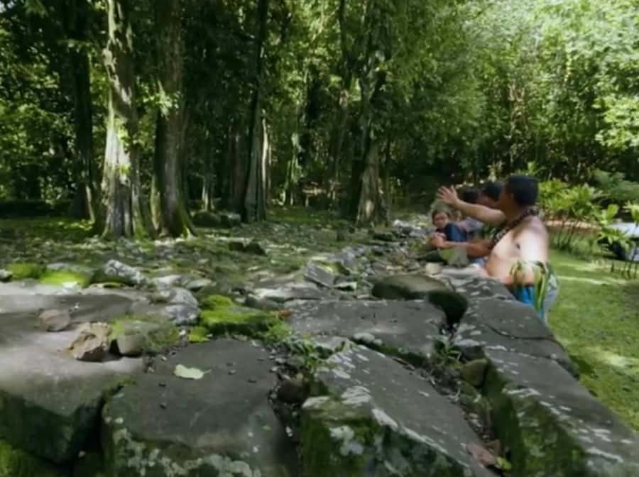 Albert Tours Excursion Safari - Moorea Safari tours&pick up - River crossings and freshwater eels