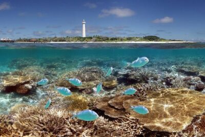 Amedee Lighthouse