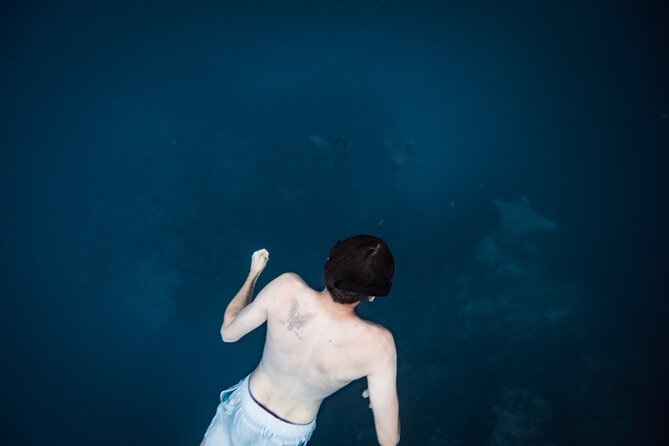 An Eagle Ray and Turtle Tour-Small Groups & Photography Included - What happens during the 90-minute outing