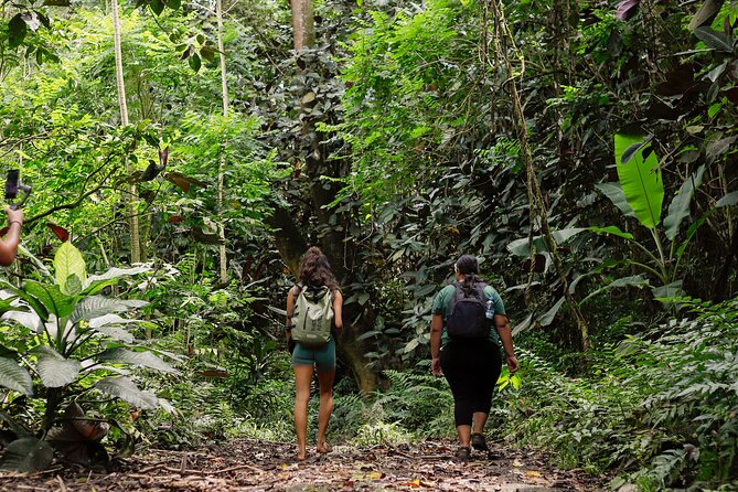 AOA Polynesian Forests - Hiking Sanctuary Biodiversity Tahiti - Key points at a glance